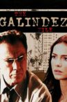 The Galíndez File Movie Streaming Online