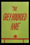 The Grey Hounded Hare Movie Streaming Online