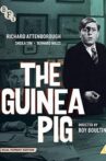 The Guinea Pig Movie Streaming Online