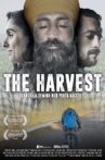 The Harvest Movie Streaming Online