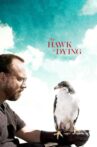 The Hawk Is Dying Movie Streaming Online