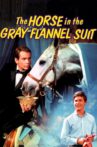 The Horse in the Gray Flannel Suit Movie Streaming Online