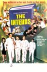 The Interns Movie Streaming Online