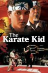 The Karate Kid Movie Streaming Online