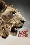 The Last Lions Movie Streaming Online