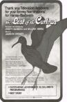 The Last of the Curlews Movie Streaming Online