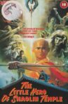 The Little Hero of Shaolin Temple Movie Streaming Online