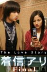 The Love Story Movie Streaming Online