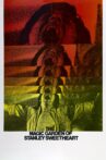 The Magic Garden of Stanley Sweetheart Movie Streaming Online