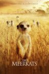 The Meerkats Movie Streaming Online