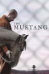 The Mustang Movie Streaming Online