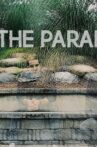 The Paradox Movie Streaming Online