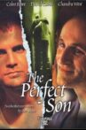 The Perfect Son Movie Streaming Online