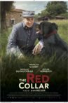 The Red Collar Movie Streaming Online