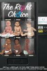 The Right Choice Movie Streaming Online