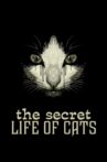 The Secret Life of Cats Movie Streaming Online