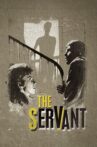 The Servant Movie Streaming Online