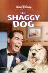 The Shaggy Dog Movie Streaming Online