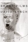The Short Films of David Lynch Movie Streaming Online