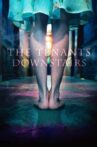 The Tenants Downstairs Movie Streaming Online