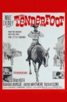 The Tenderfoot Movie Streaming Online
