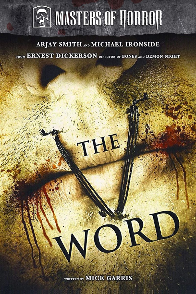 CATWOMAN: HUNTED PLOT LEAKS STREAMING