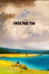 The Wild Pear Tree Movie Streaming Online