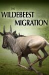 The Wildebeest Migration: Nature's Greatest Journey Movie Streaming Online