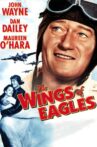 The Wings of Eagles Movie Streaming Online