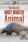 The World's Most Wanted Animal Movie Streaming Online