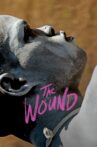 The Wound Movie Streaming Online