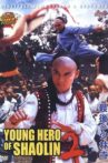 The Young Hero of Shaolin II Movie Streaming Online