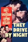 They Drive by Night Movie Streaming Online