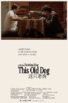 This Old Dog Movie Streaming Online