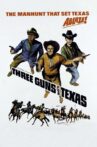 Three Guns for Texas Movie Streaming Online