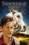 Thunderhead - Son of Flicka Movie Streaming Online