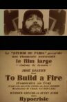 To Build a Fire Movie Streaming Online