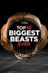Top 10 Biggest Beasts Ever Movie Streaming Online