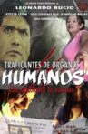 Traficantes de órganos humanos: Los ayudantes de satanás Movie Streaming Online