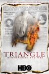 Triangle: Remembering the Fire Movie Streaming Online