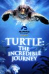 Turtle: The Incredible Journey Movie Streaming Online