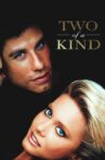 Two of a Kind Movie Streaming Online
