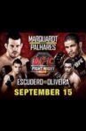 UFC Fight Night 22: Marquardt vs. Palhares Movie Streaming Online