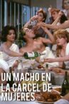 Un macho en la cárcel de mujeres Movie Streaming Online