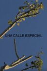 Una Calle Especial Movie Streaming Online