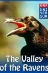 Valley of the Ravens Movie Streaming Online