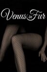 Venus in Fur Movie Streaming Online