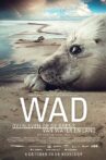 Wad: surviving on the border of water and land Movie Streaming Online