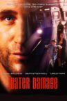 Water Damage Movie Streaming Online