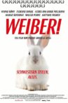 Weiber! Schwestern teilen. Alles. Movie Streaming Online